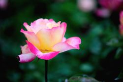 My Brother’s Keeper