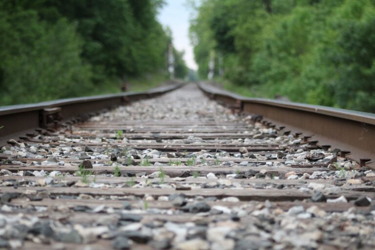 Learning from Living